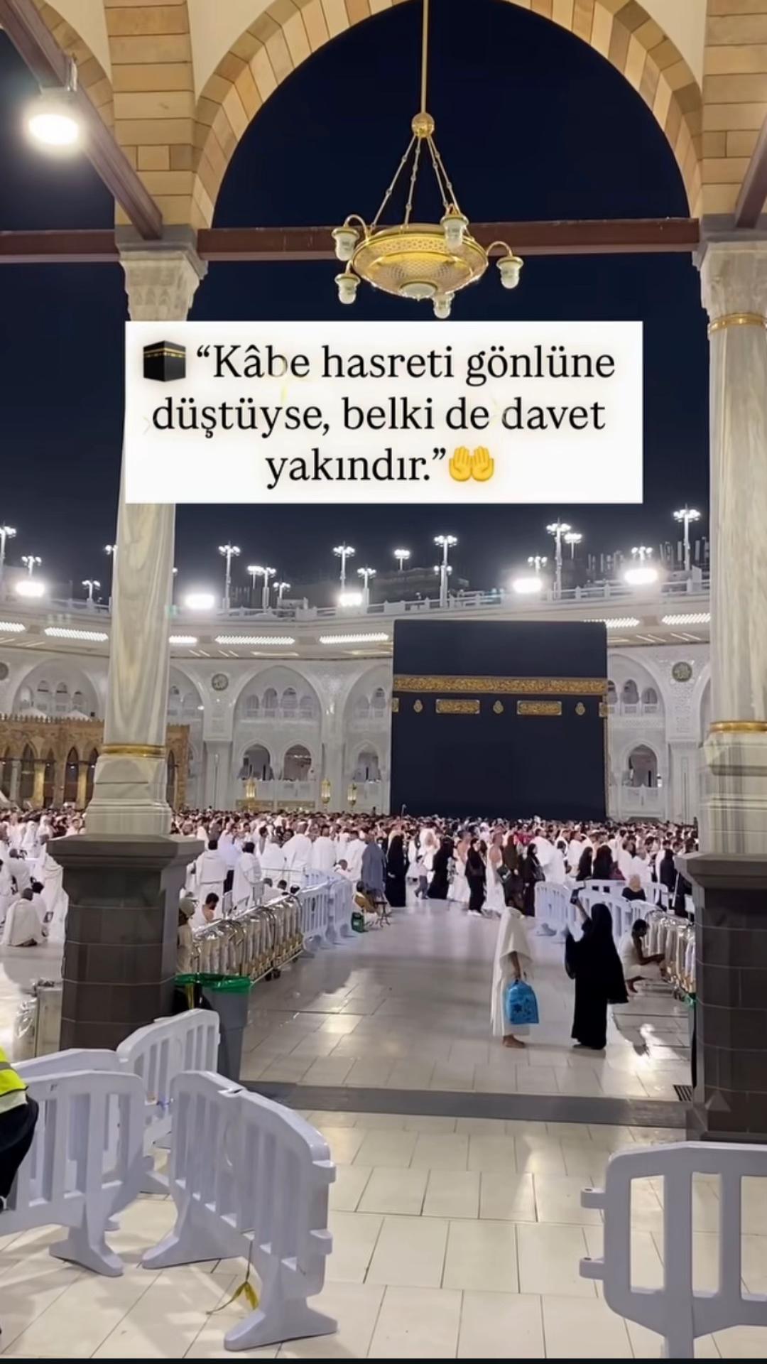 @ravzanur740