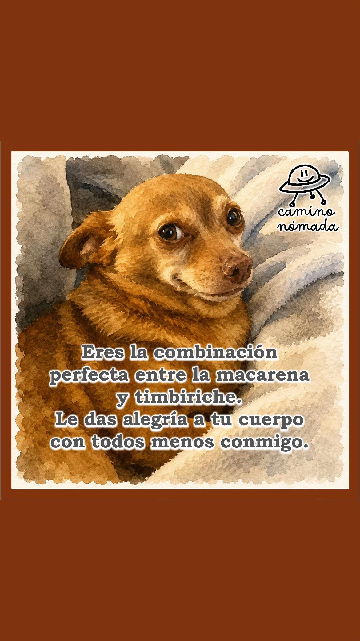 @Camino Nómada