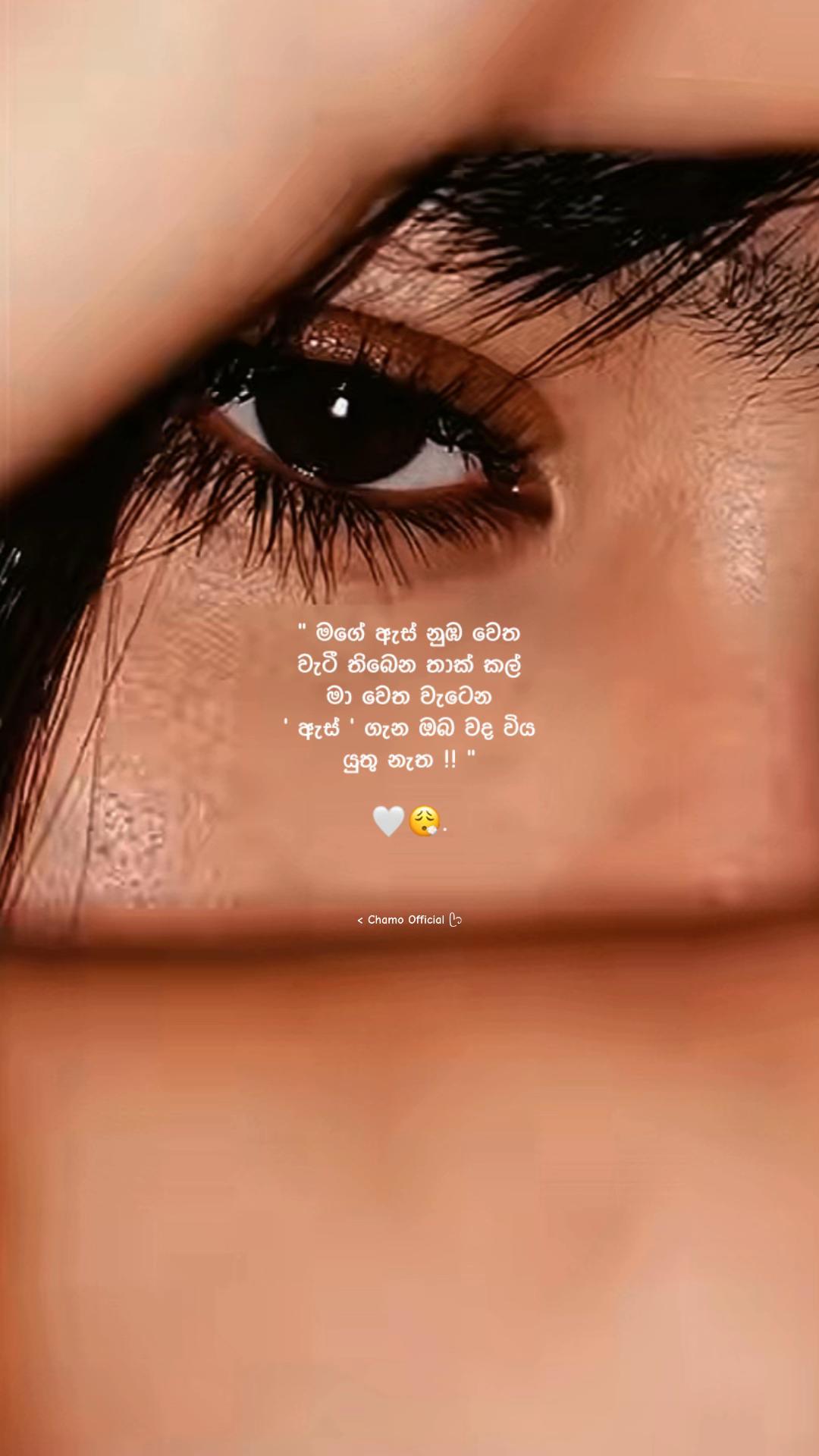 @< 𝐂𝐡𝐚𝐦𝐨 ᥫ᭡