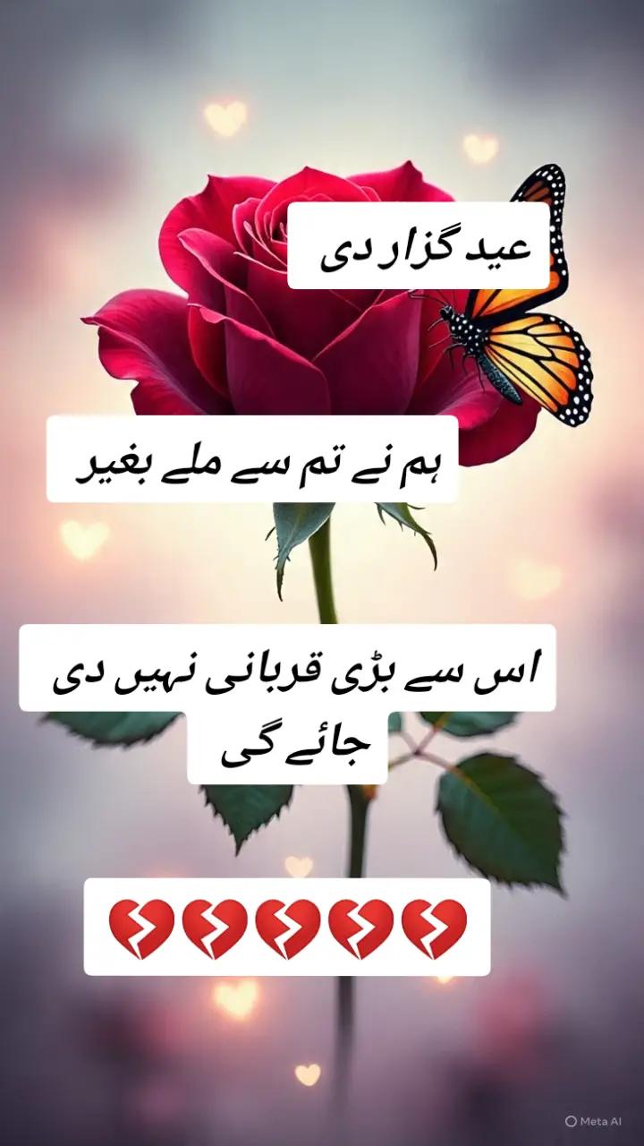 @bewafa dunya😔😔😔😔