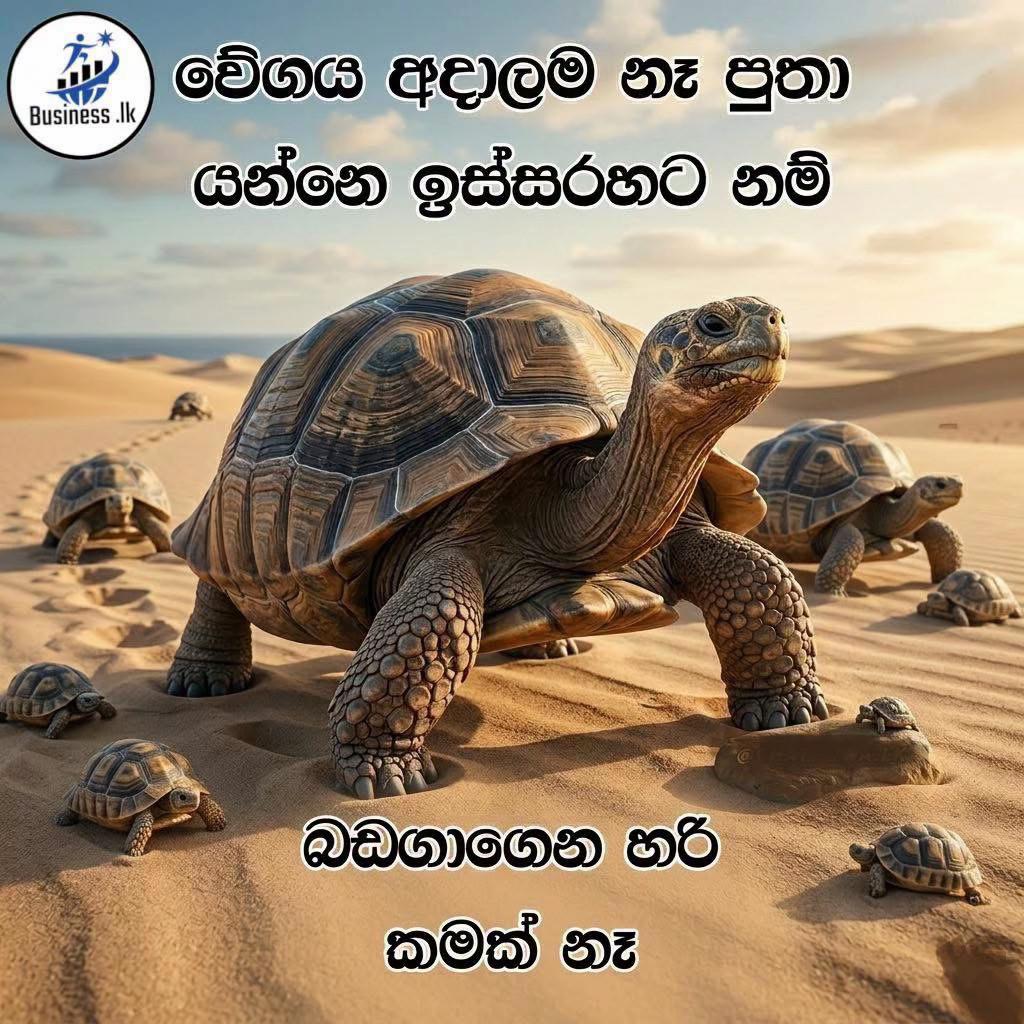 @🇱🇰❤️Donsupun liyanage 🇦🇪🌍
