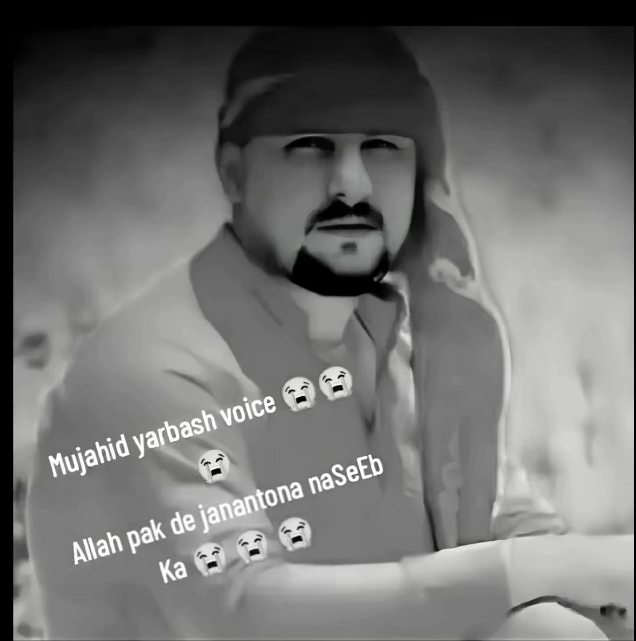 @Mujahidyarbash