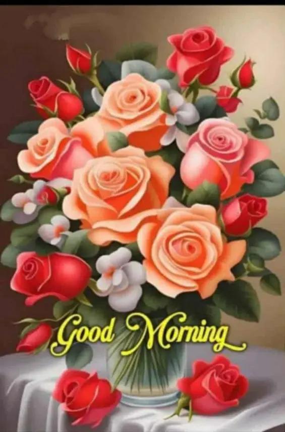 @THAMILARASHAN 🥰😻