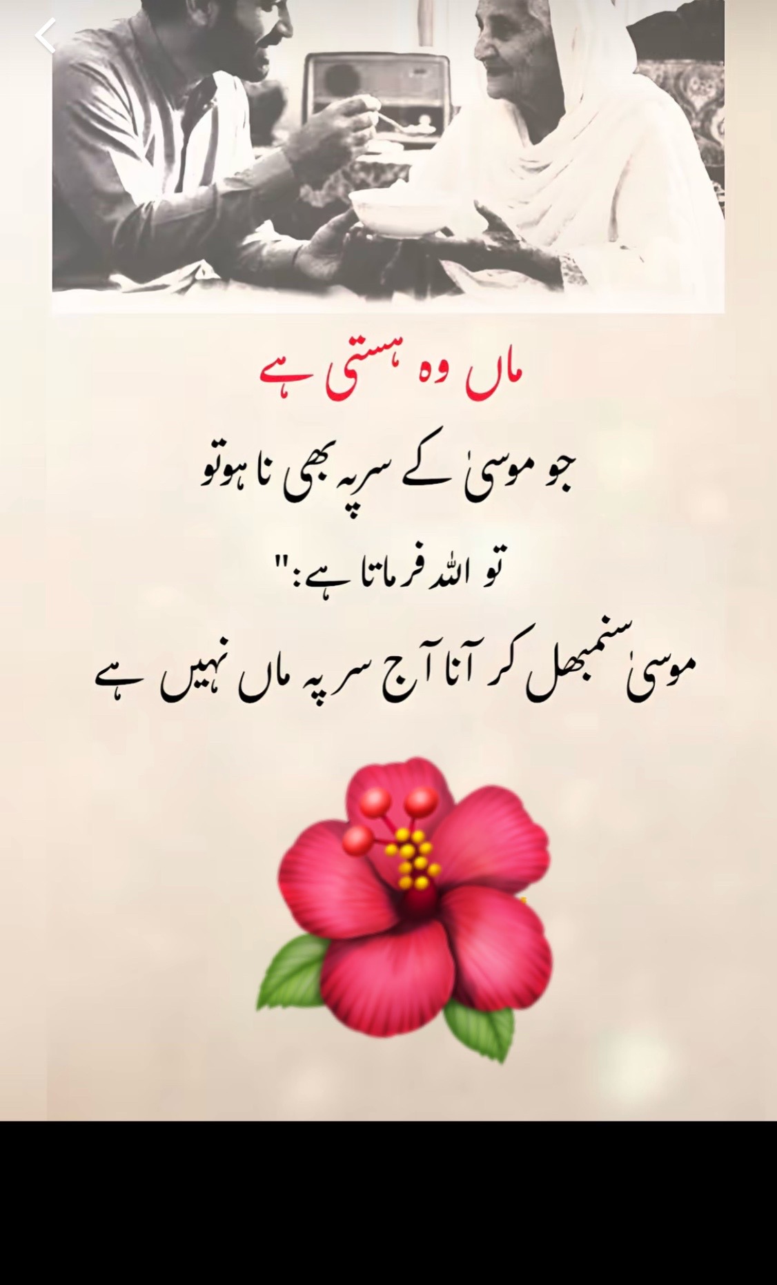 @💕💕🌷🌷Arfa 🌷🌷💕💕