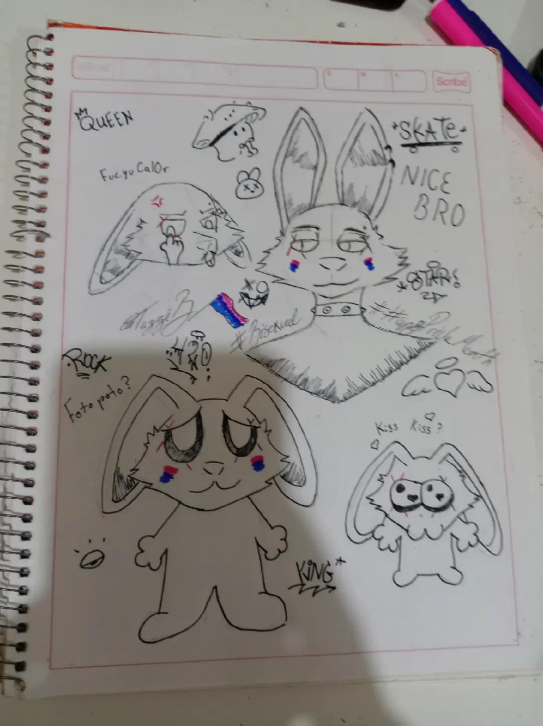 @&diams;ScanBunny&diams;