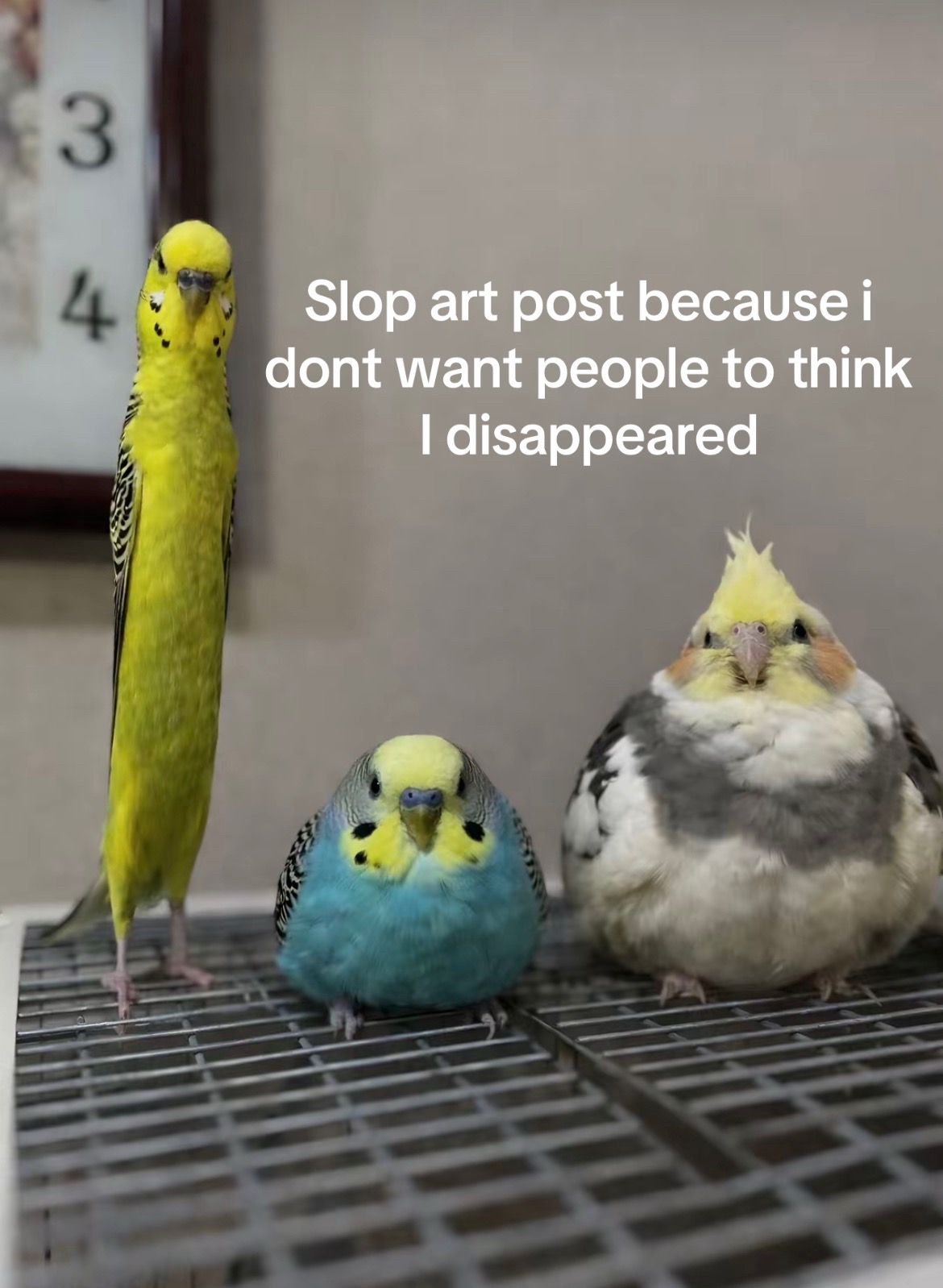 @Tatsu