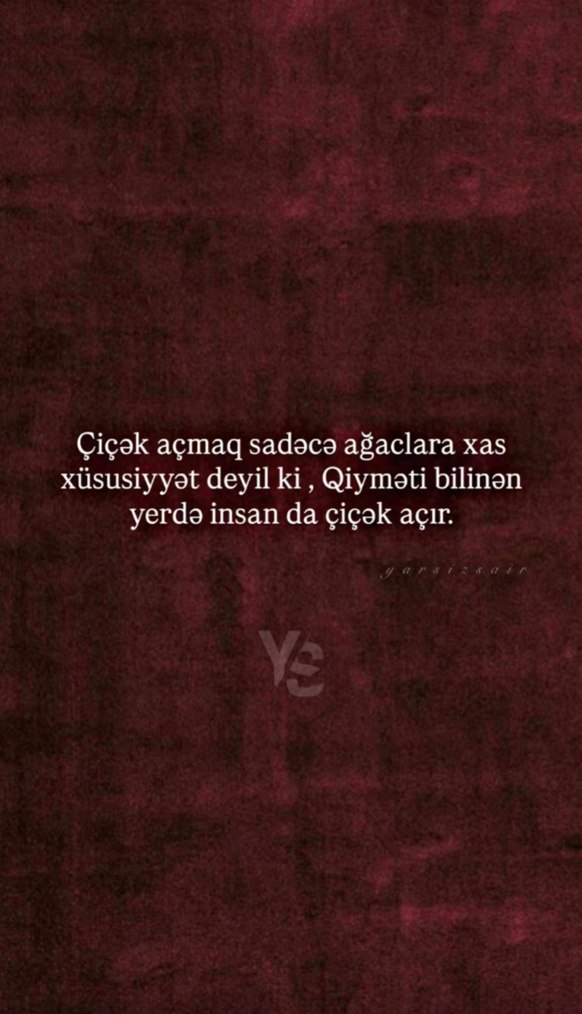 @yarsizsair