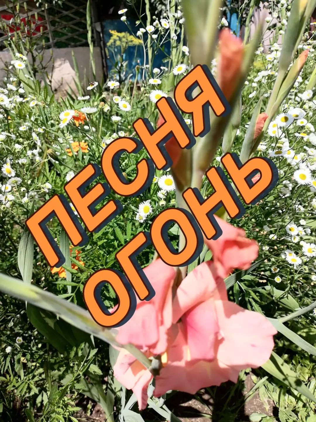 @Бусинка❤️