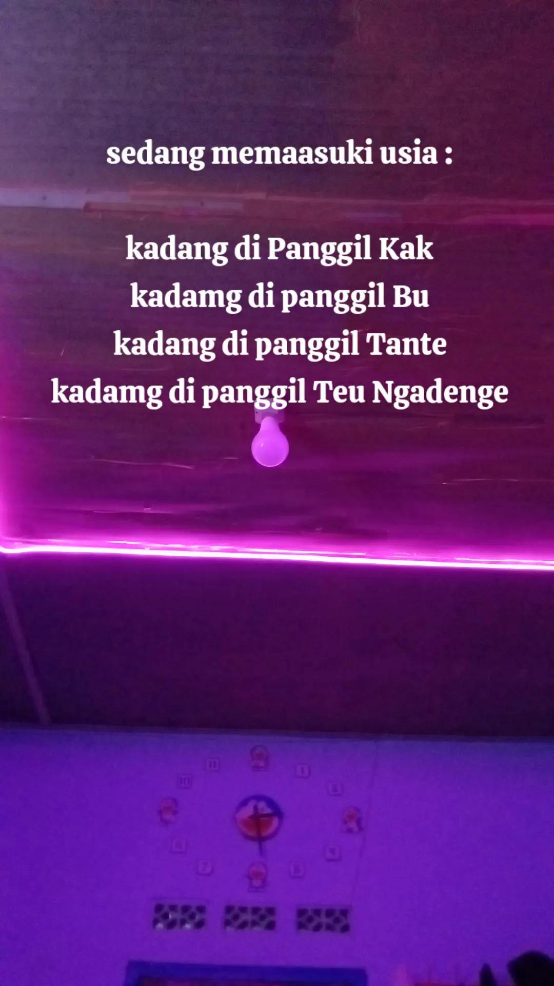 @๐ด๐
๐
๐ฐ ๐ฐ๐ผ๐พ๐
