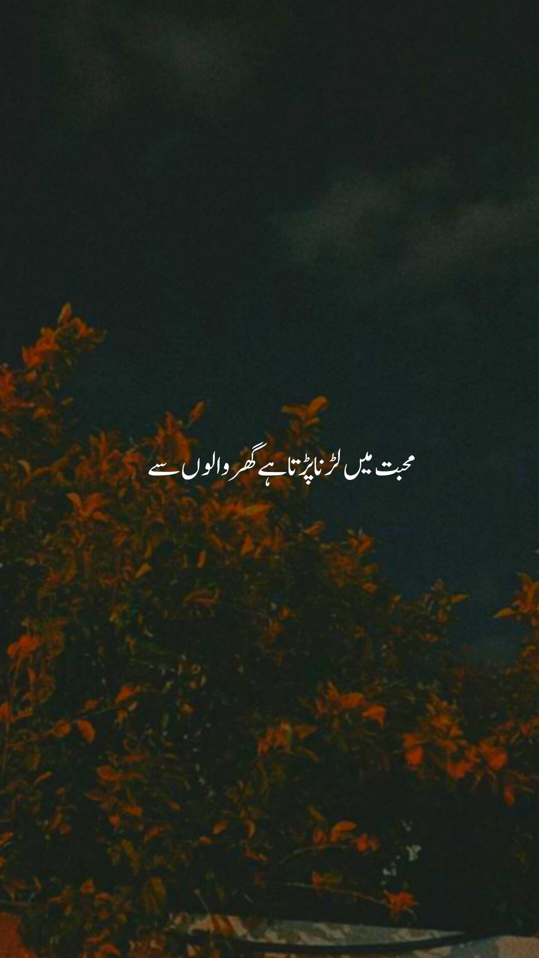 @Cute Potery