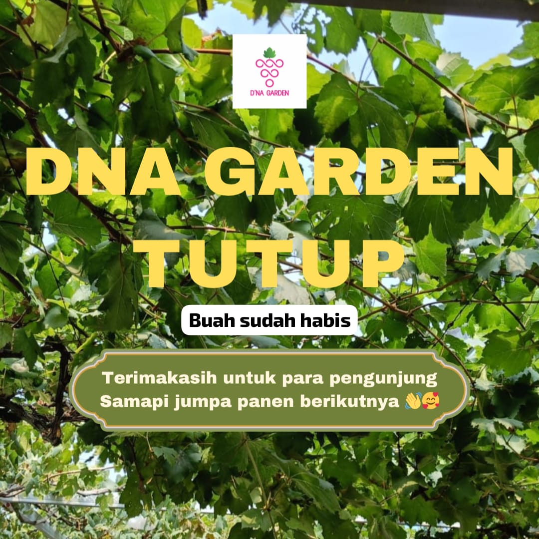 @DNA Garden