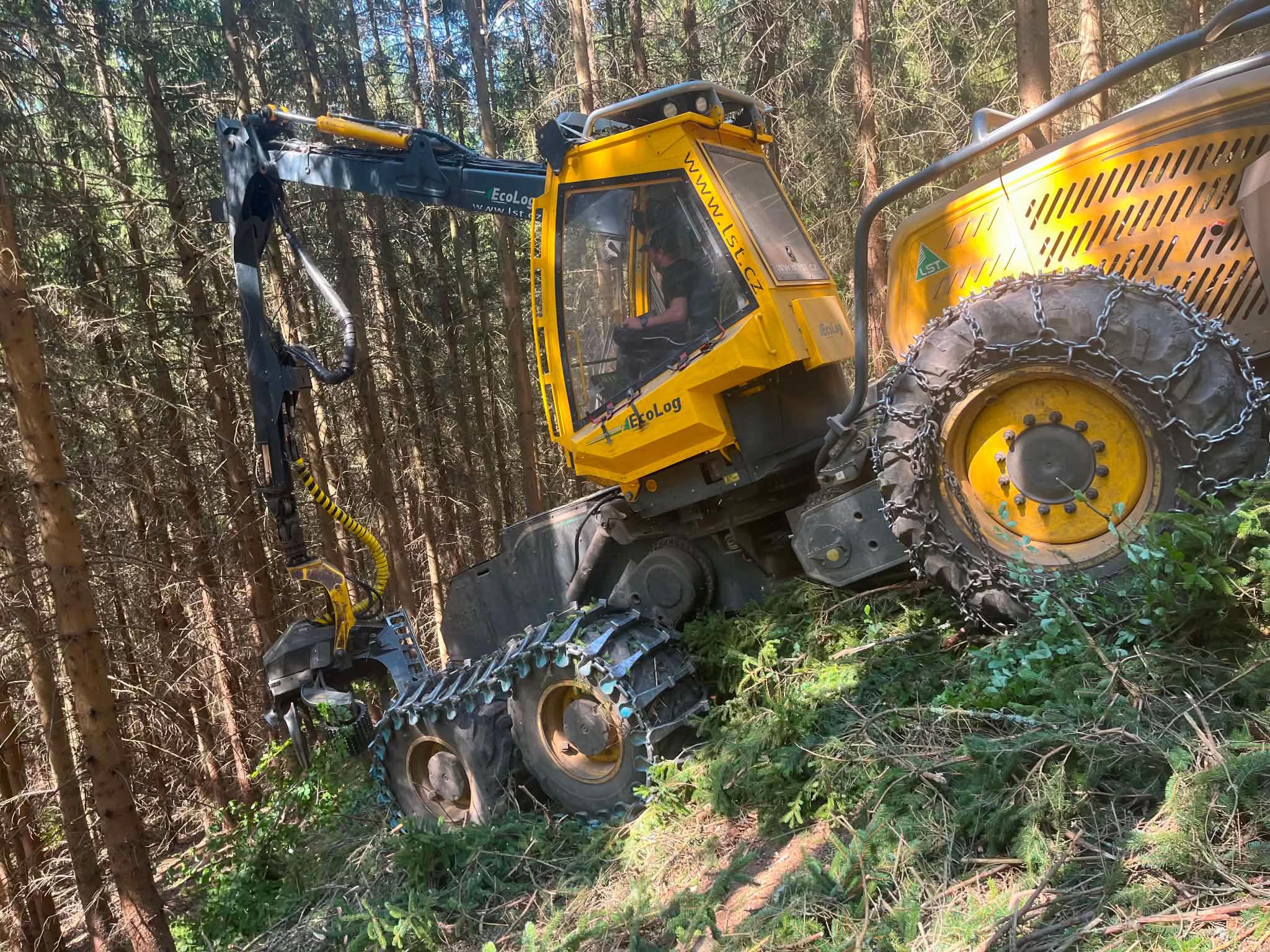 @🌲🌲Prosťě Fidla🤷&zwj;♂️🤷&zwj;♂️🌲🌲