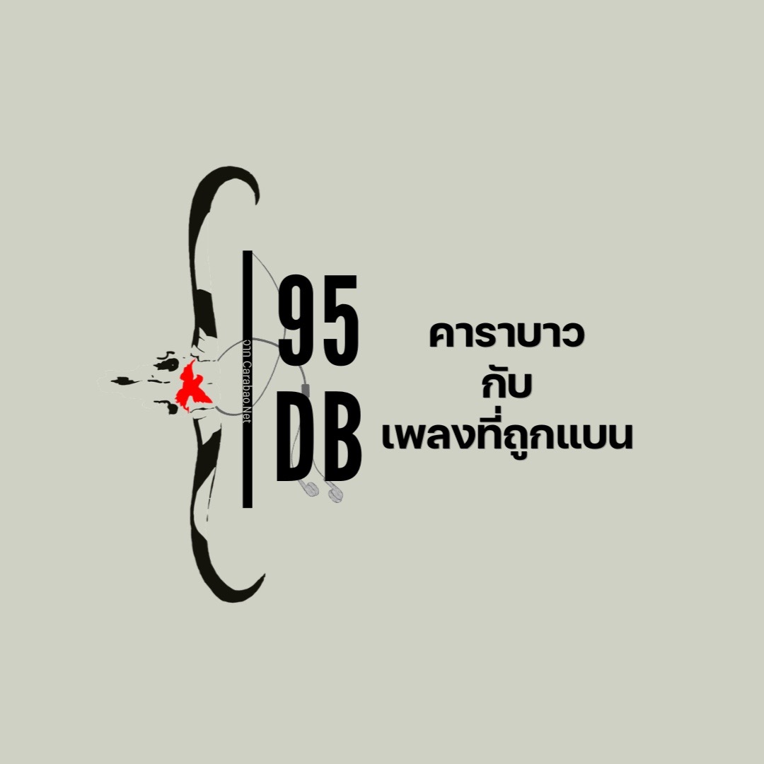 @95DB