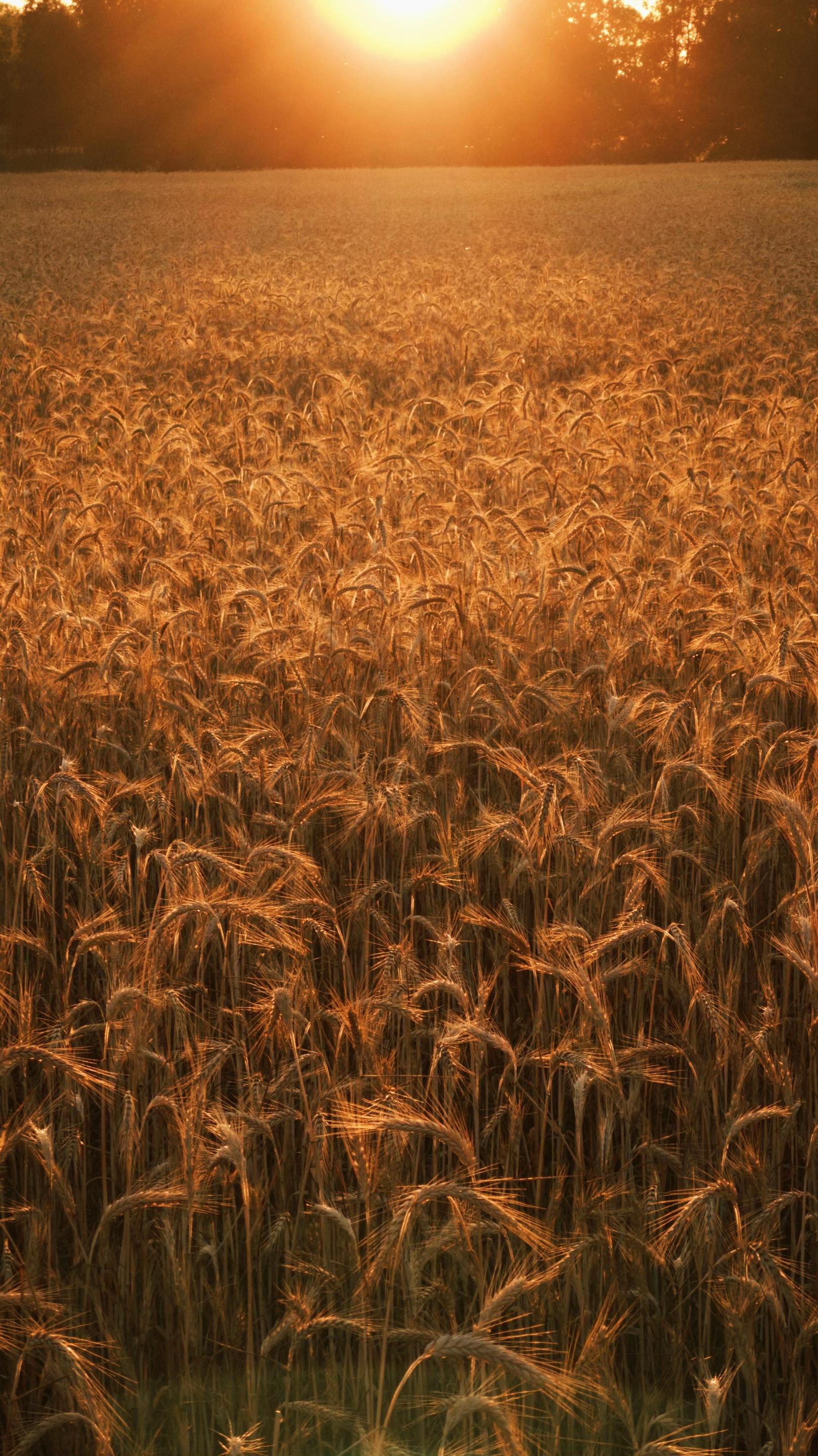 @𝓔𝓲𝓻𝓮𝓷