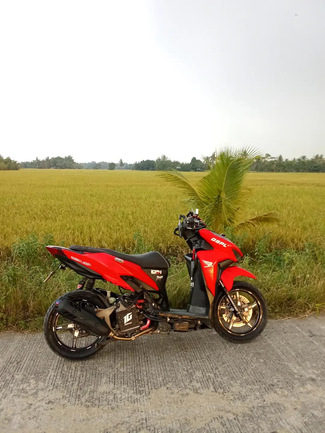 @Malunggay Pan D. Sal