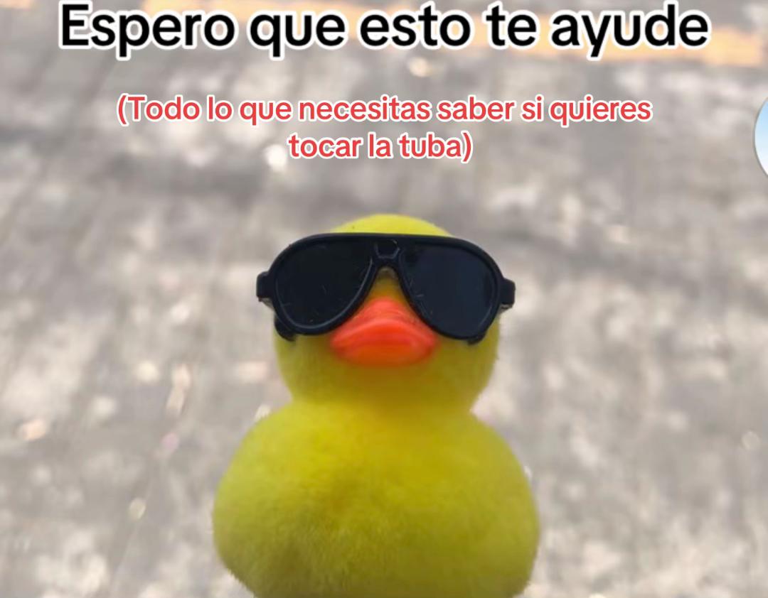 @Maestro_Tuba1