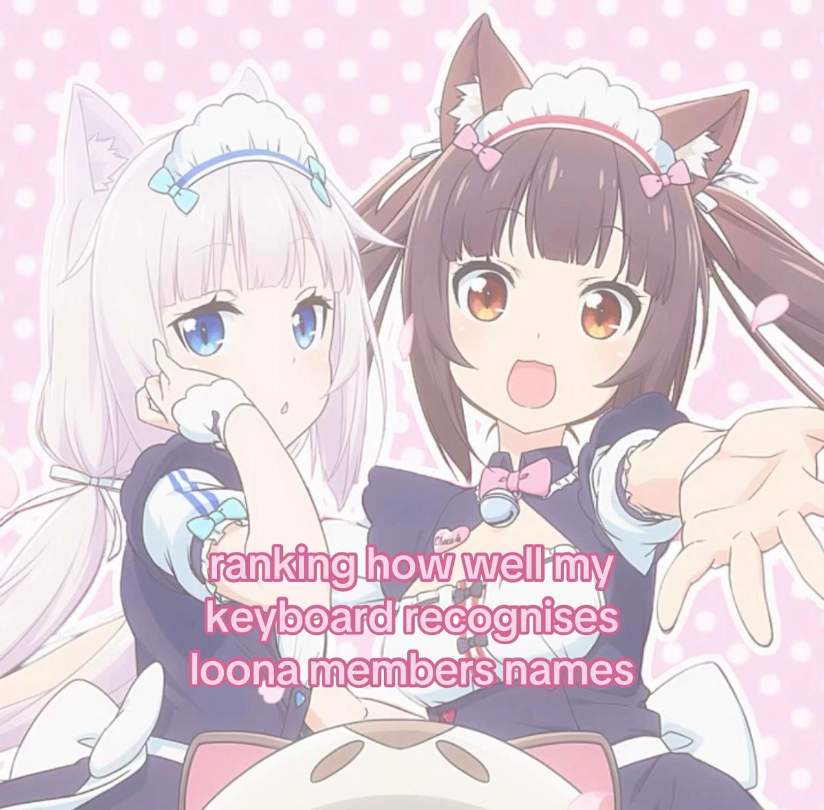 @kitty ♡’s mizi