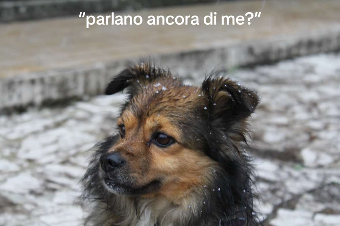 @Claudia Folcarelli