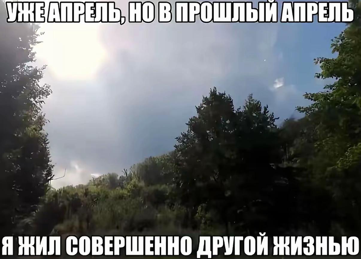 @sonik suvorik