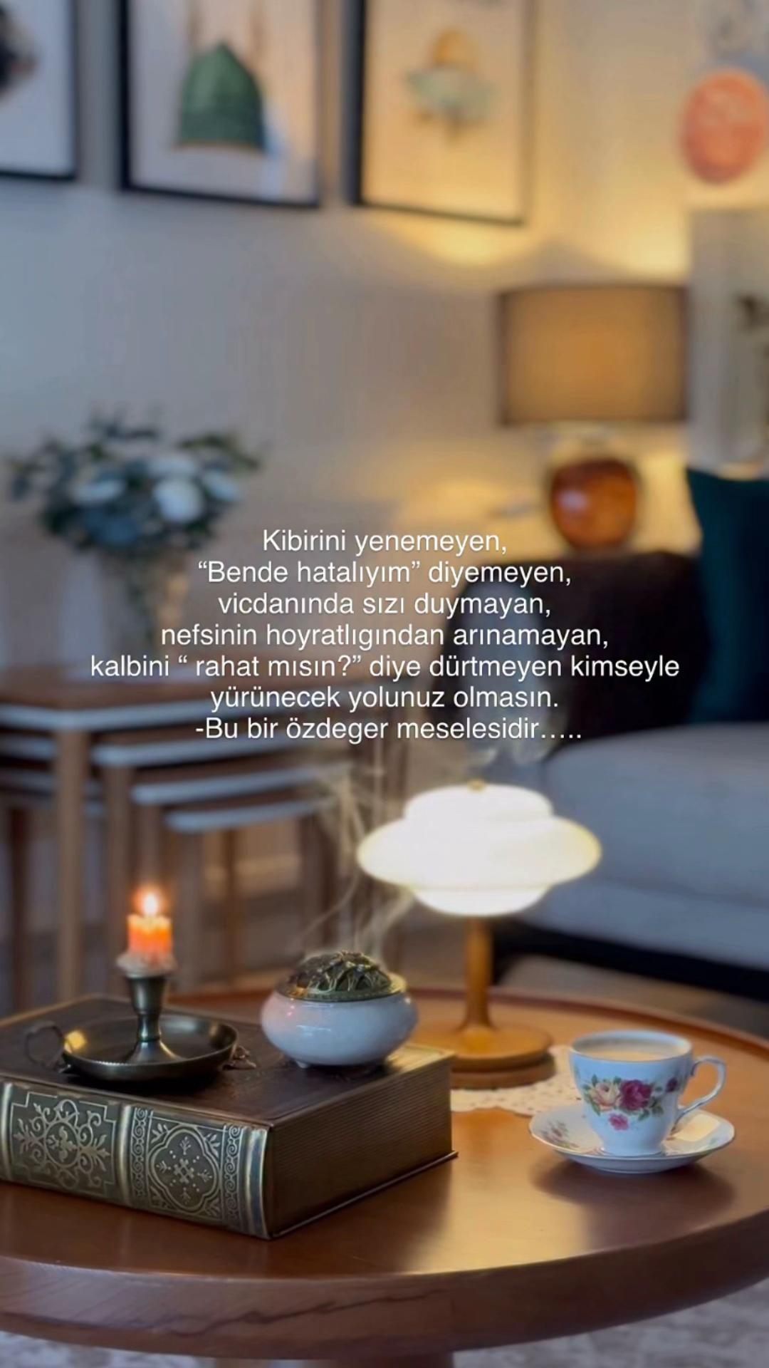 @ravzanur740