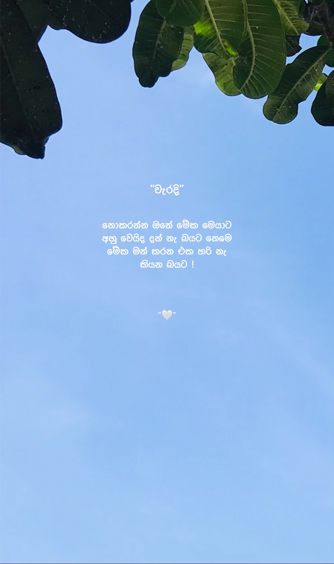 @Ꮪꪖꪀꪊ 👤&rdquo;