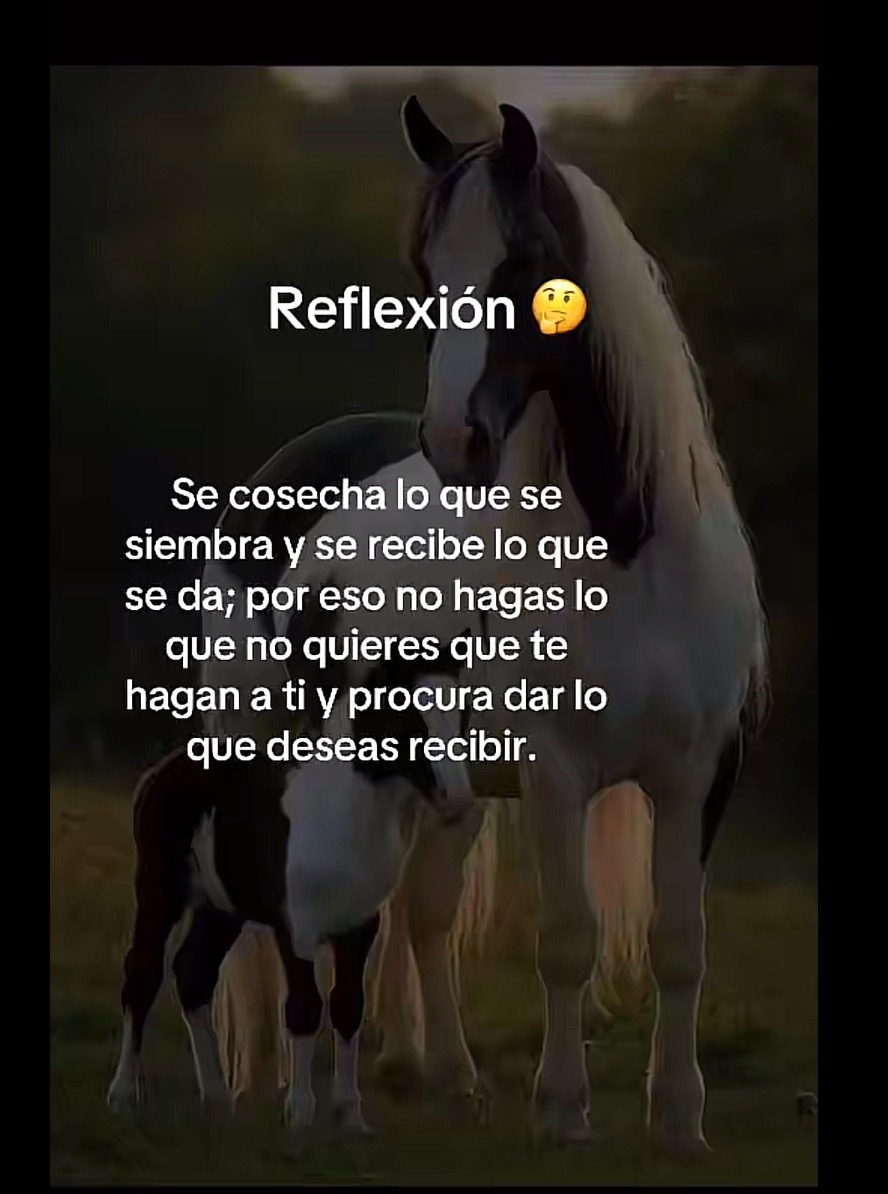 @angelicamcruz1