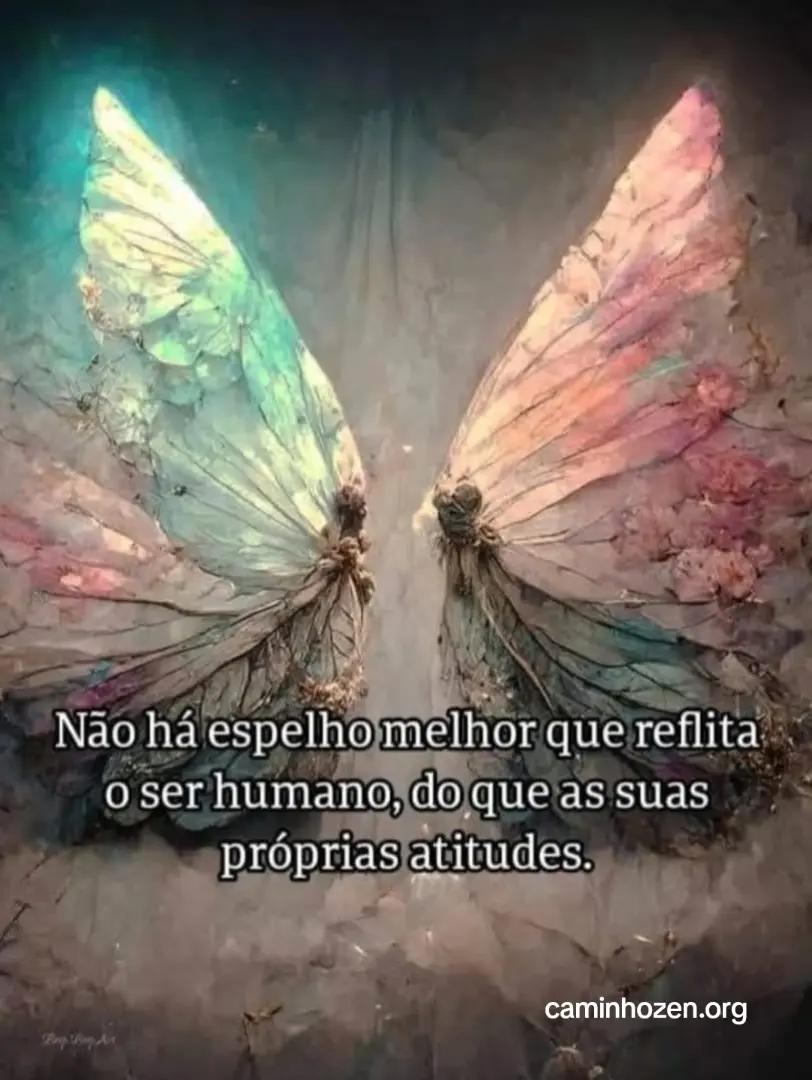 @Caminho Zen