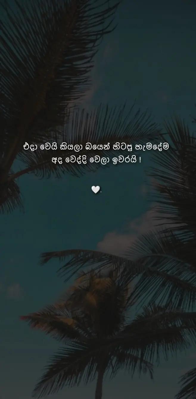 @๐๐๐๐๐๐โค๏ธ๐ป"''