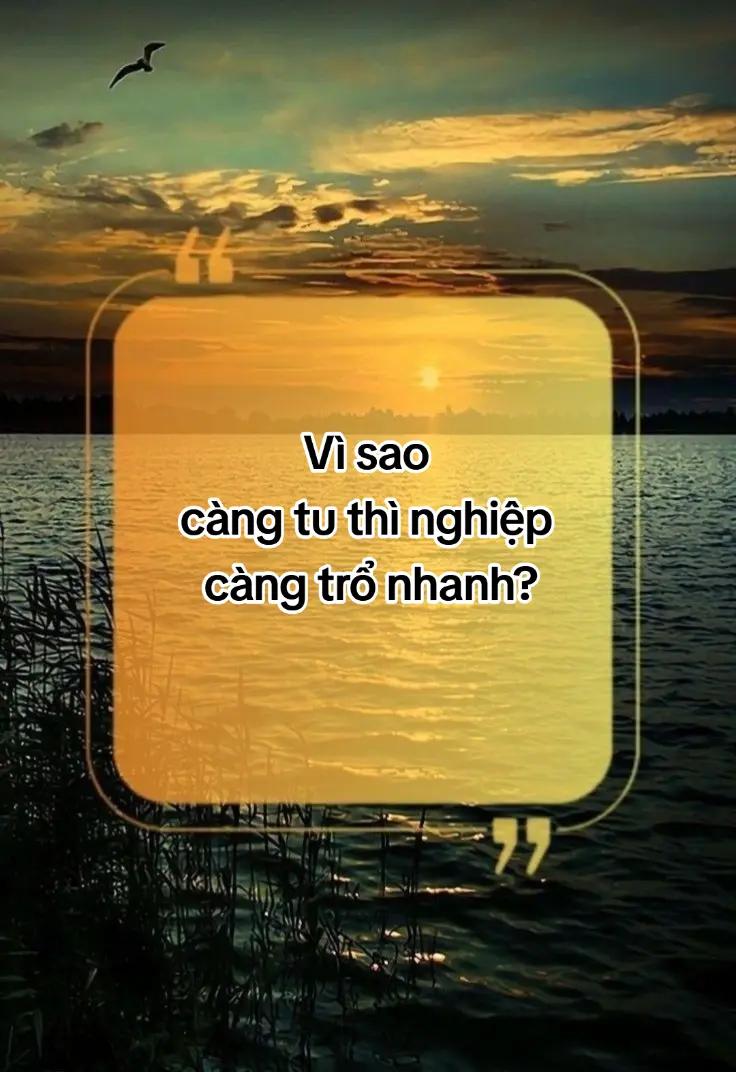 @Nương Theo Bóng Phật