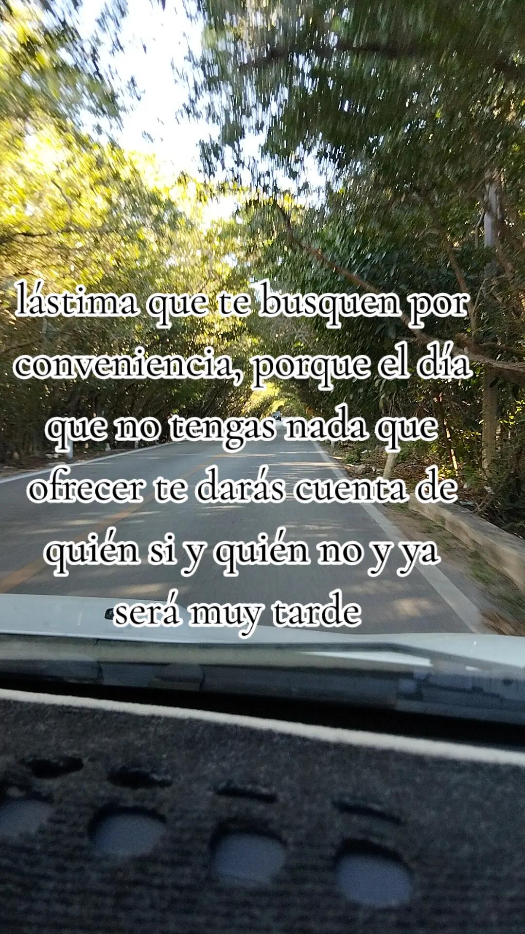 @Any SM 🐼
