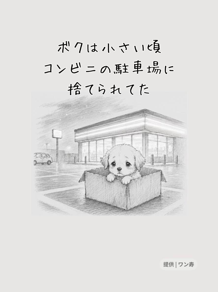 @ワン寿 | taro