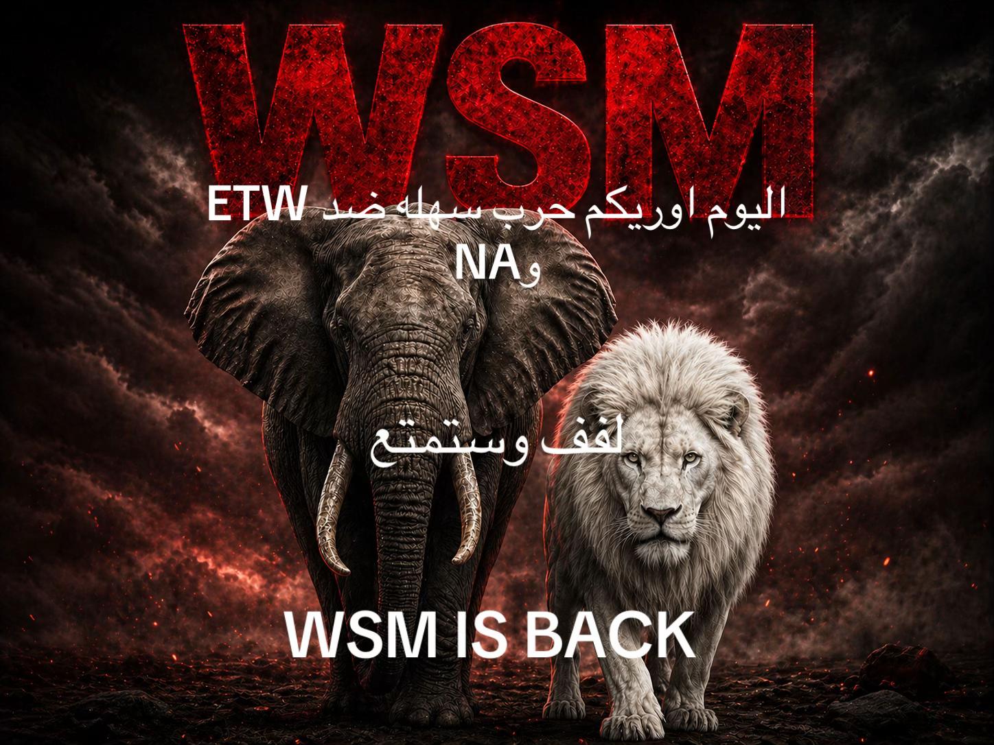 @فيصل UXR