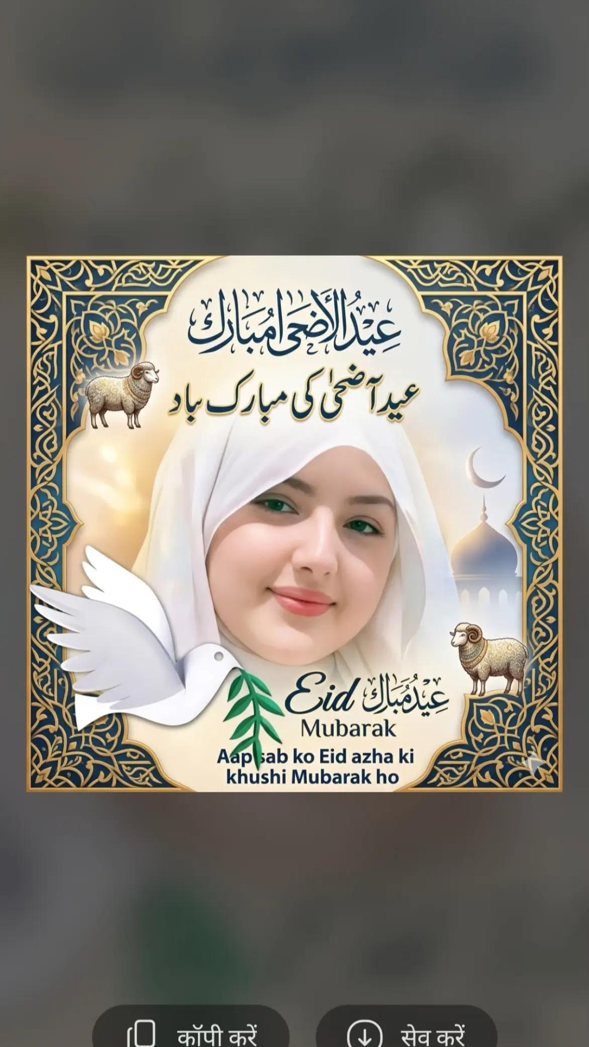 @ansari ZAINAB