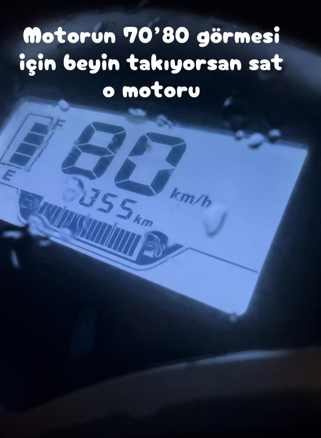 @horoz ve oyun kuşu güvercin