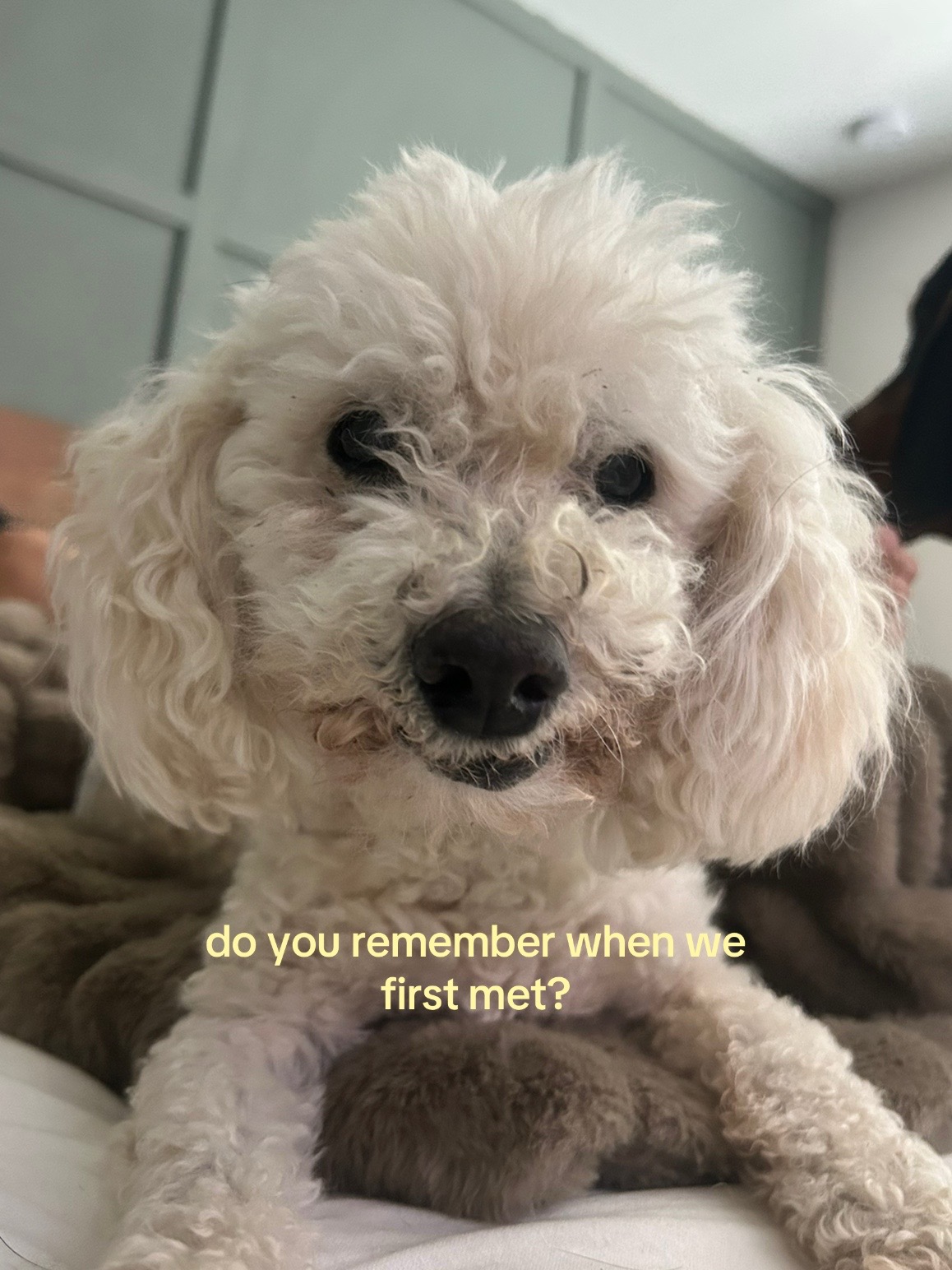 @jordyn :)