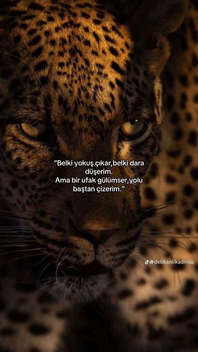@Kıvırcık•