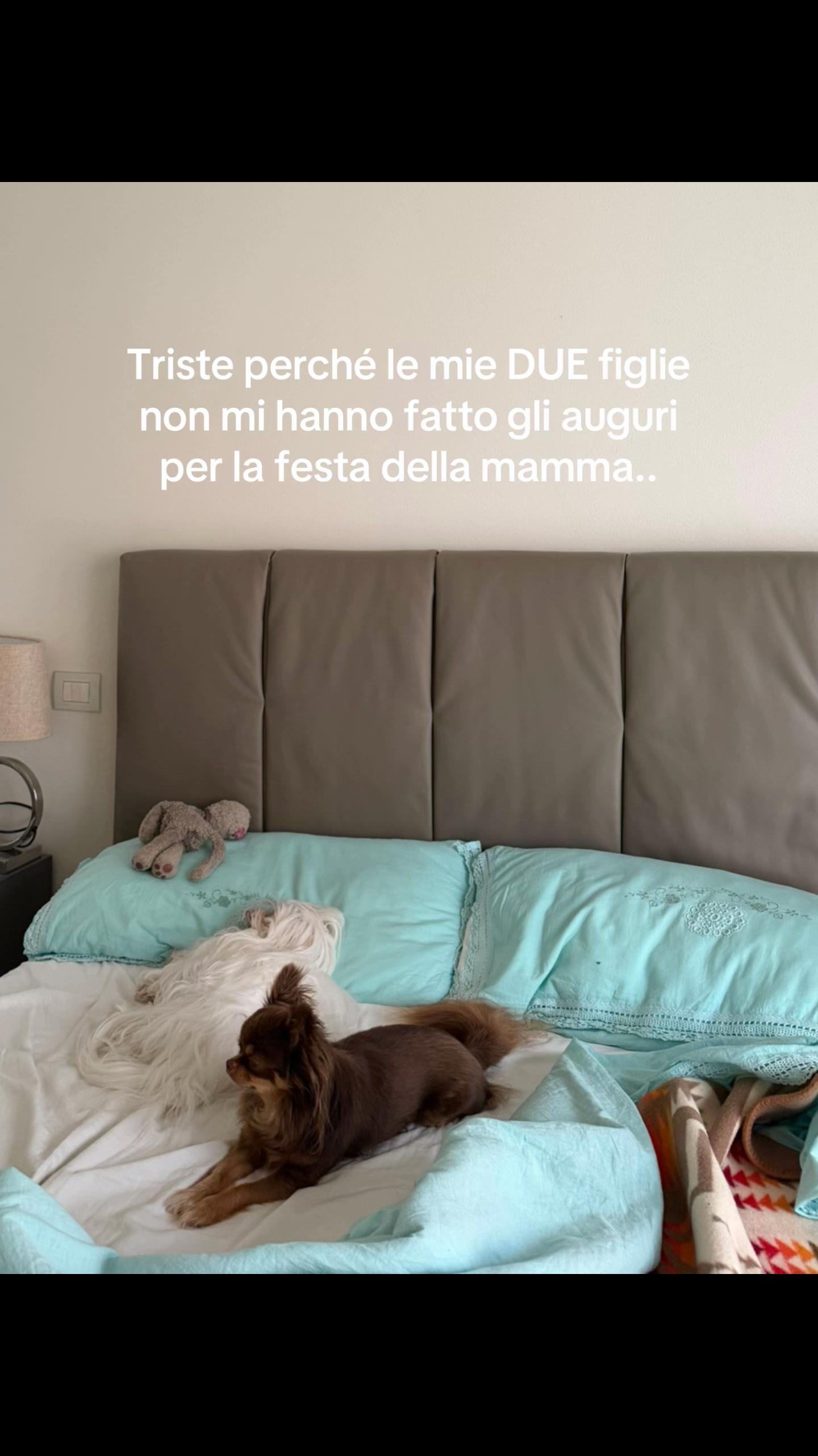 @ludo :)