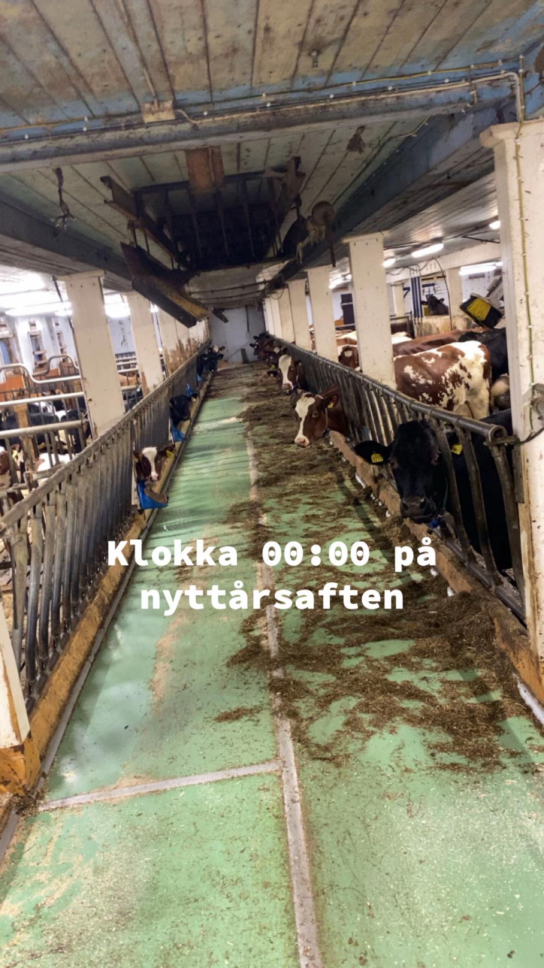 @Eirik korvald