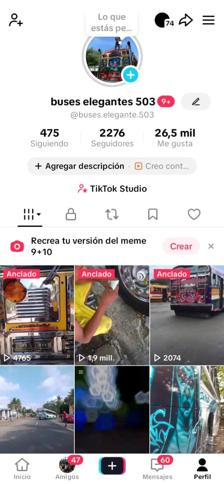 @buses elegantes 503