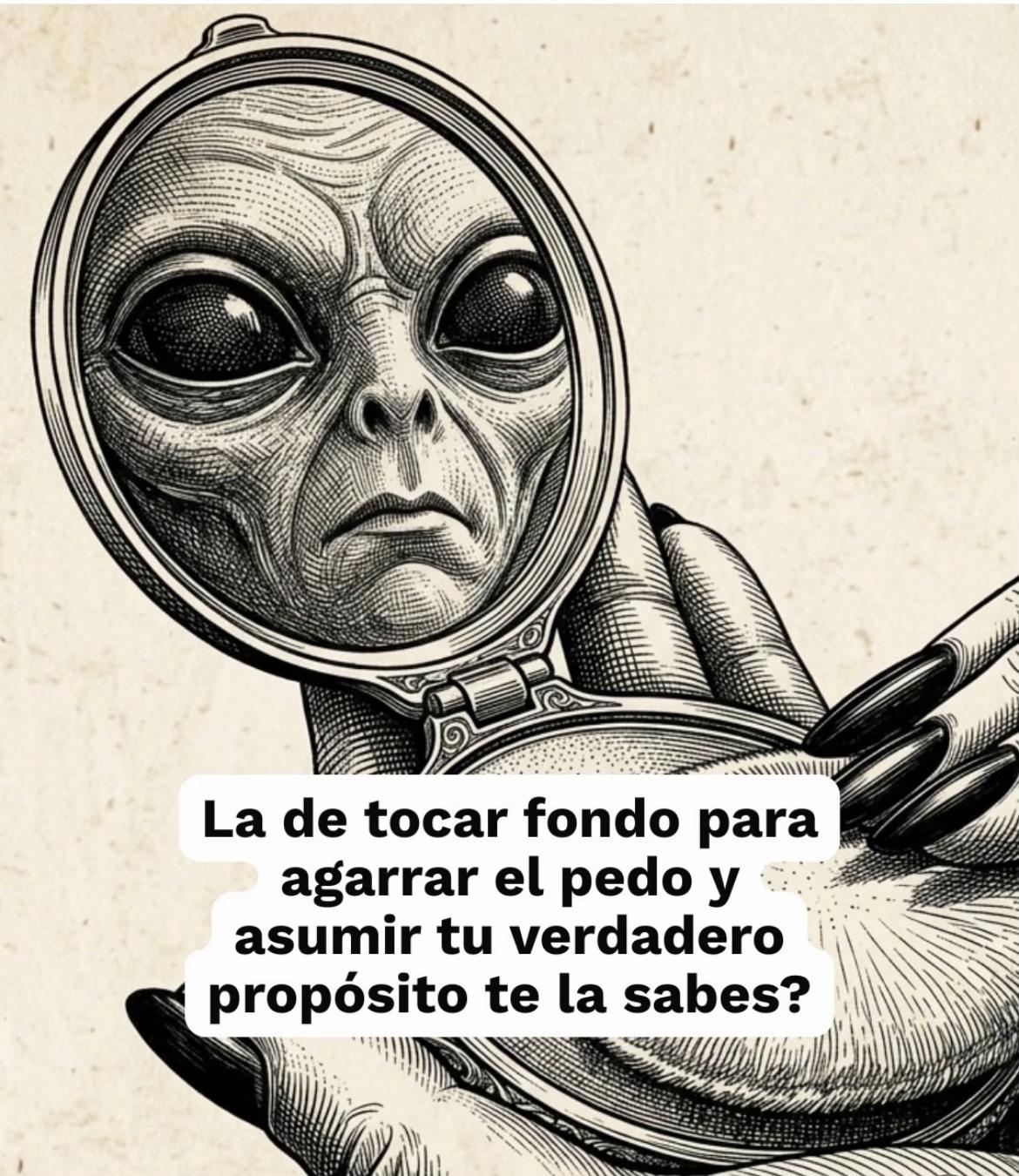 @Anel