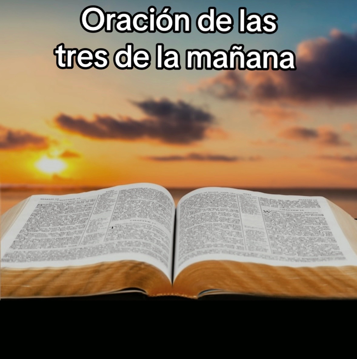 @8luisplaza8