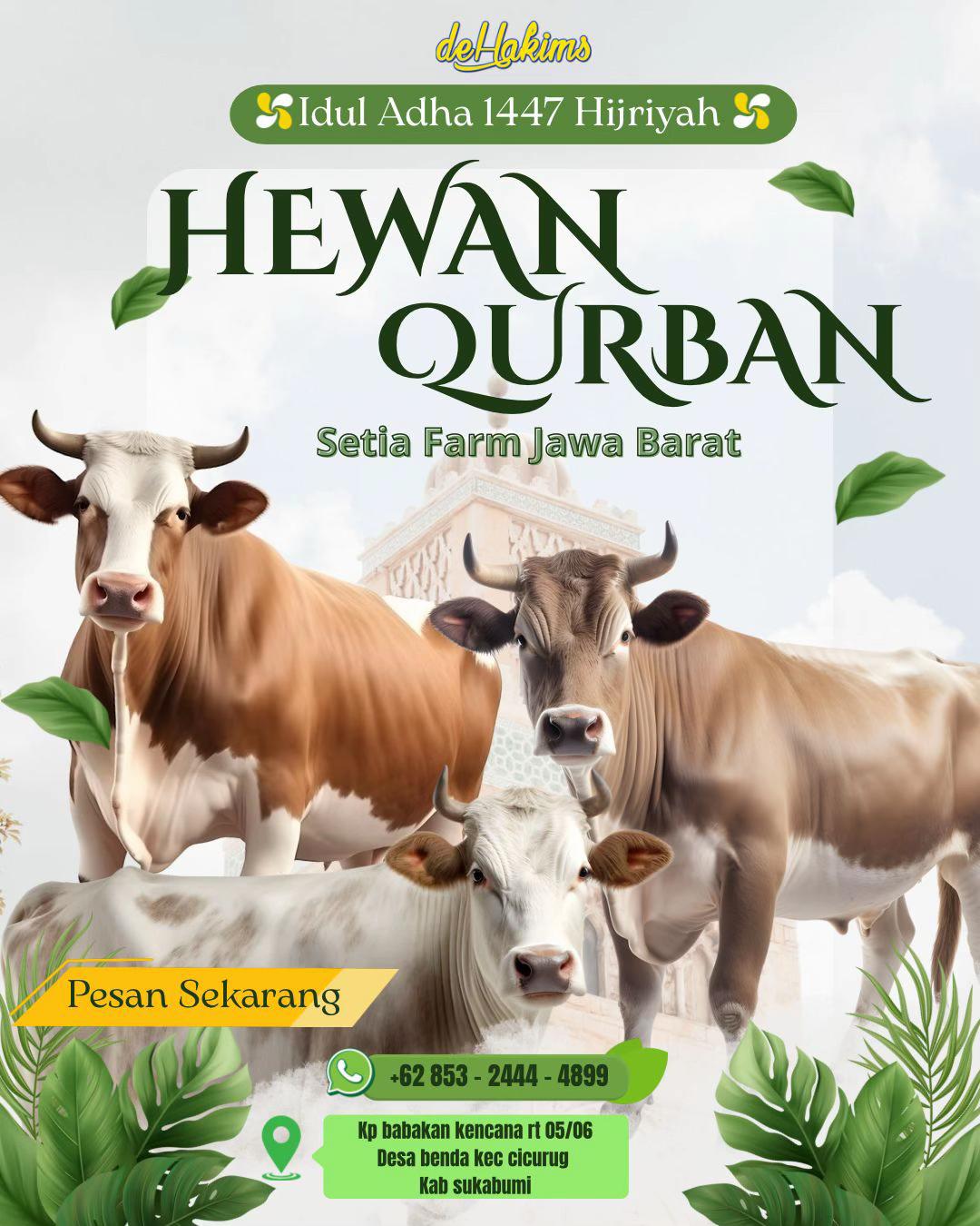 @IRFANHAKIM75