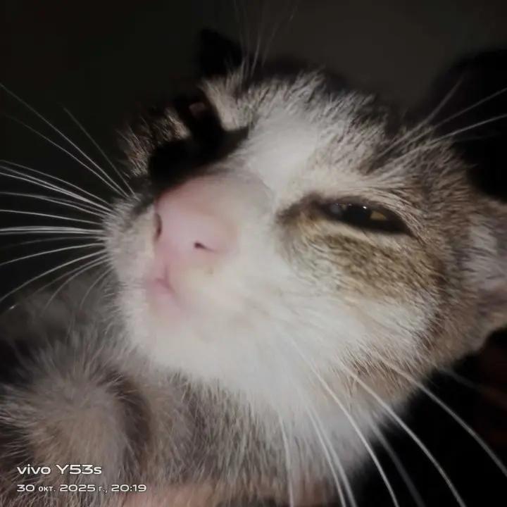 @Мукабай 🐈