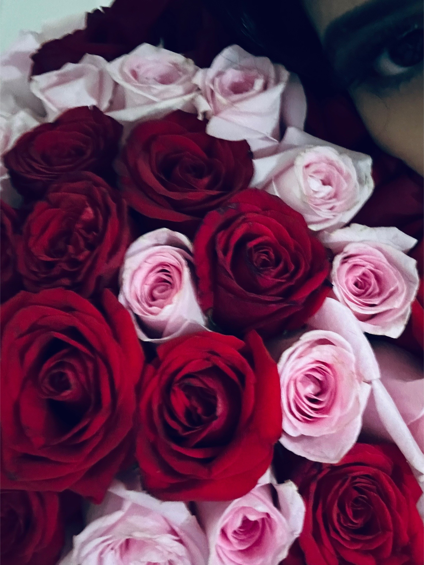@𝐊✰