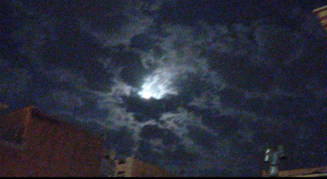 @رومینا 🐋