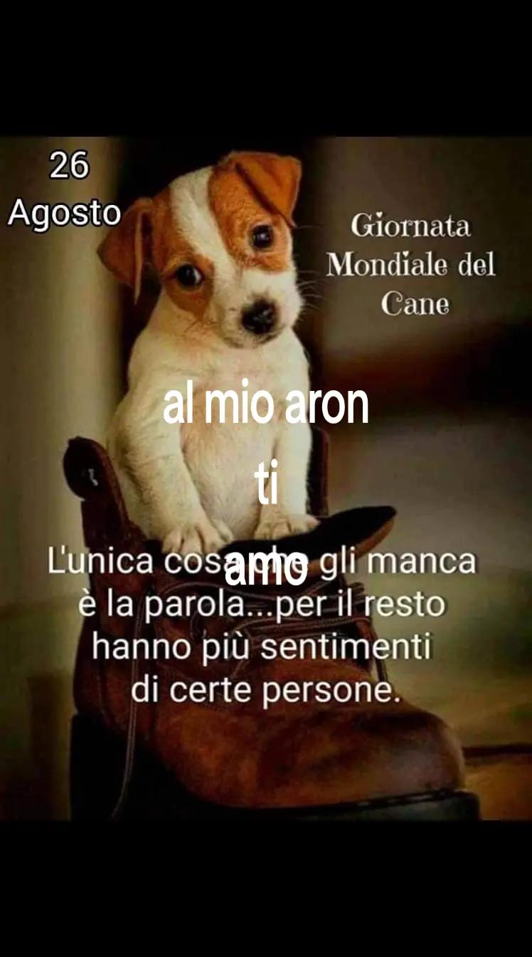 @francescacrigna4