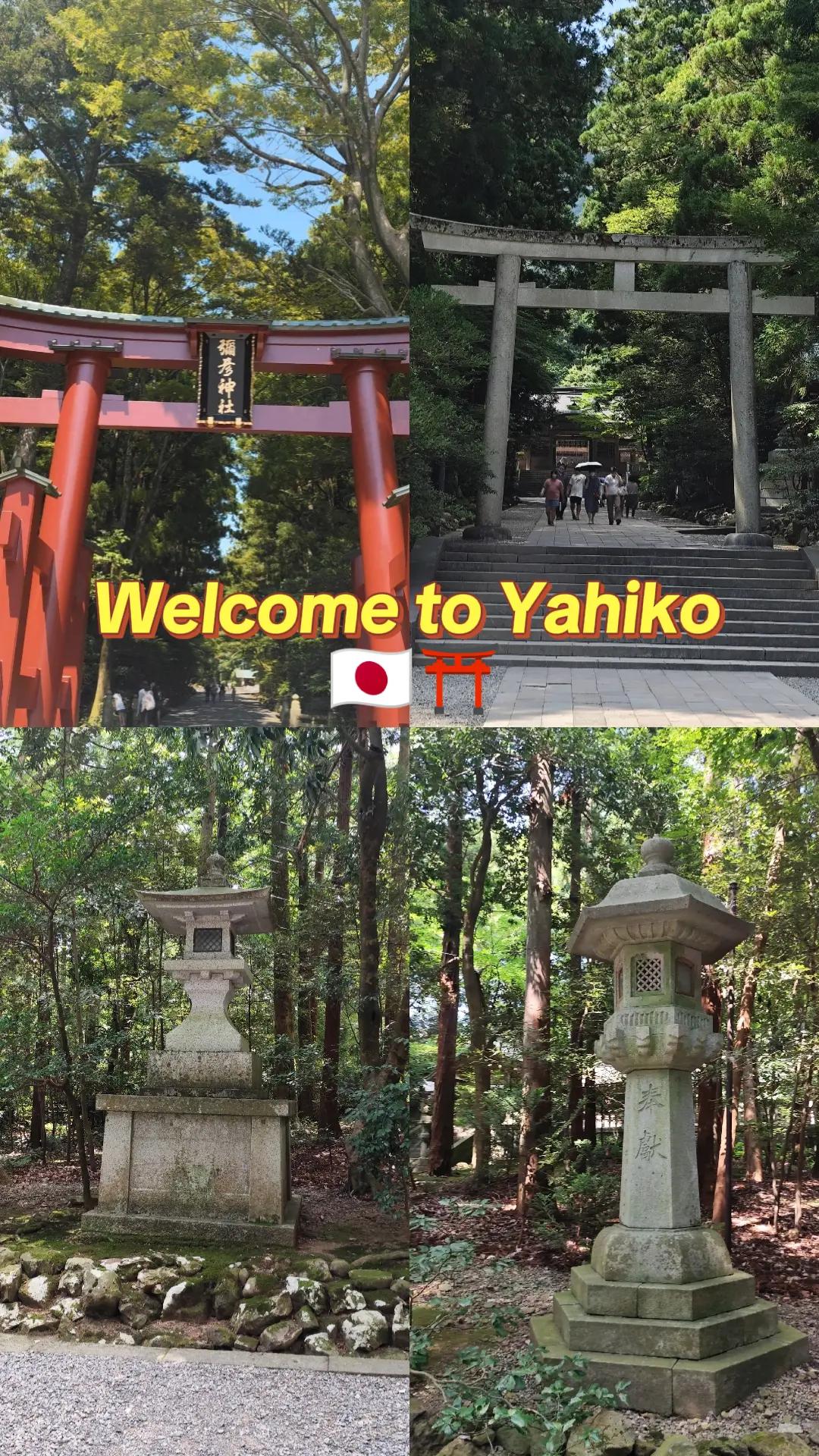 @Adjediweh 🇯🇵