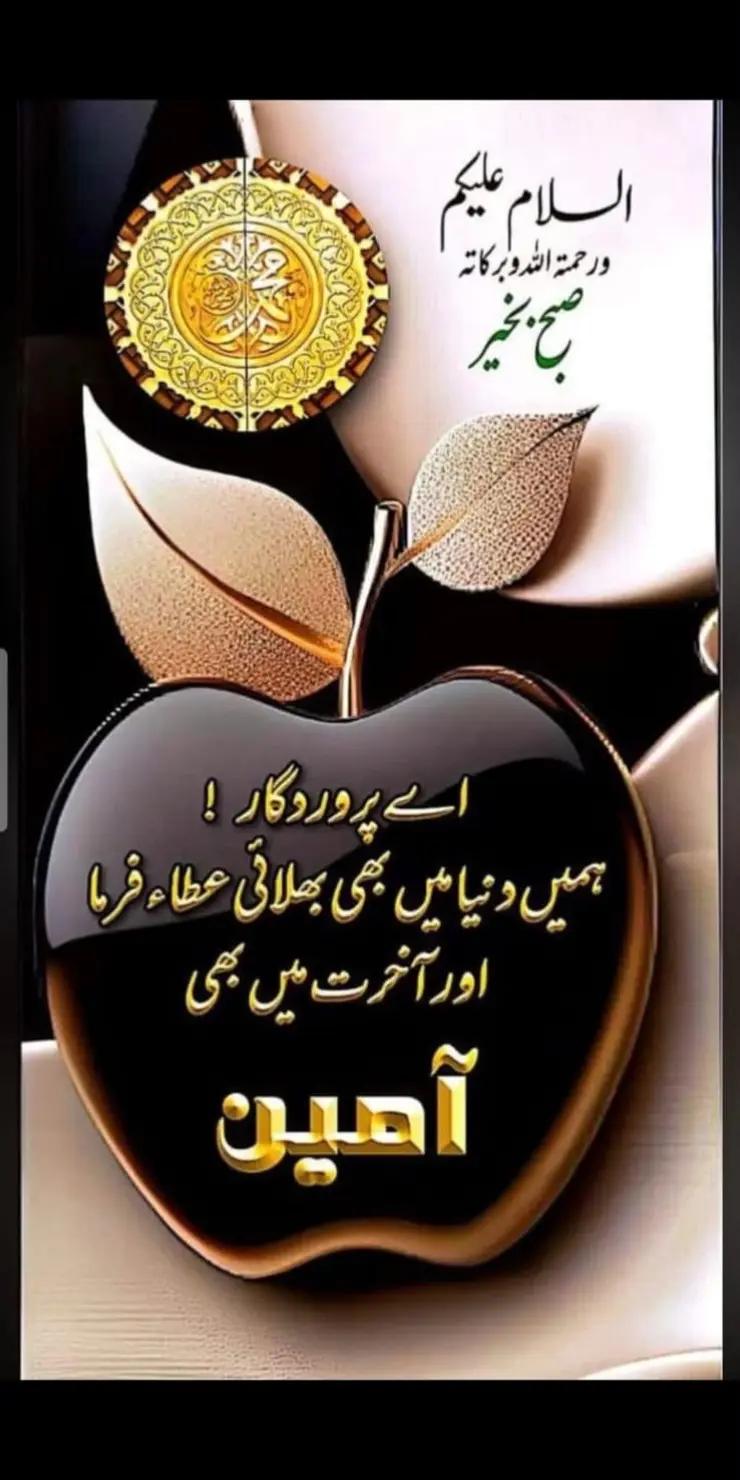 @Tahir kk