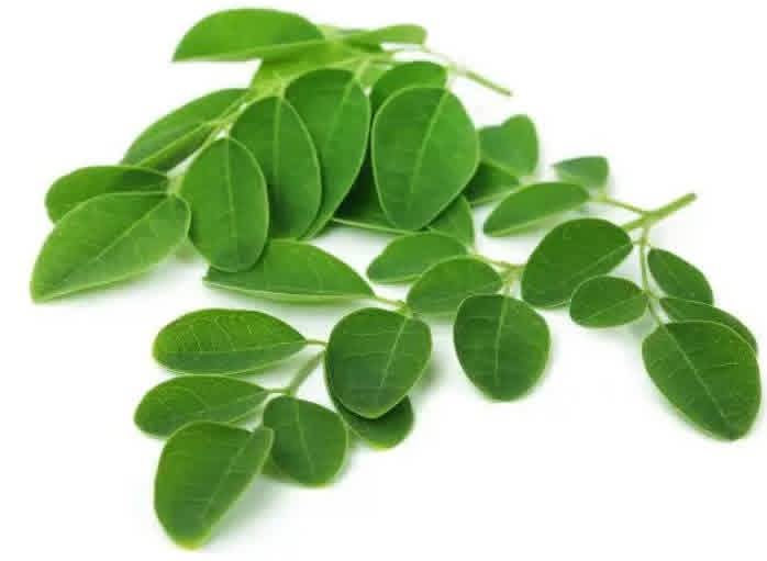 @Dr Irosi Healing Herbs
