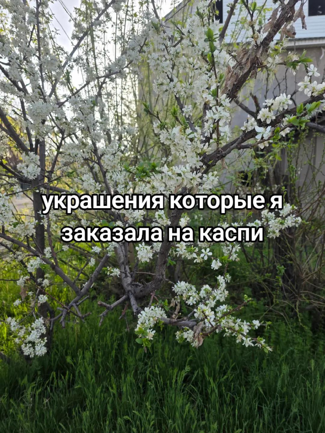 @𝙀𝙫𝙚